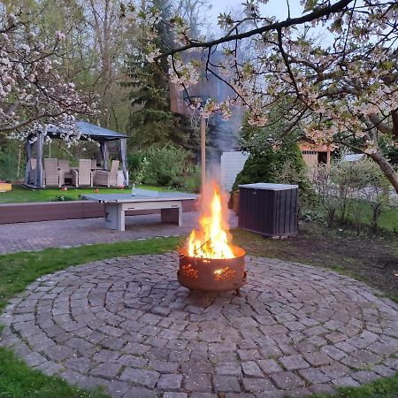 Grosszuegige Ferienwohnung Am Waldesrand Im Seenland Lauta エクステリア 写真