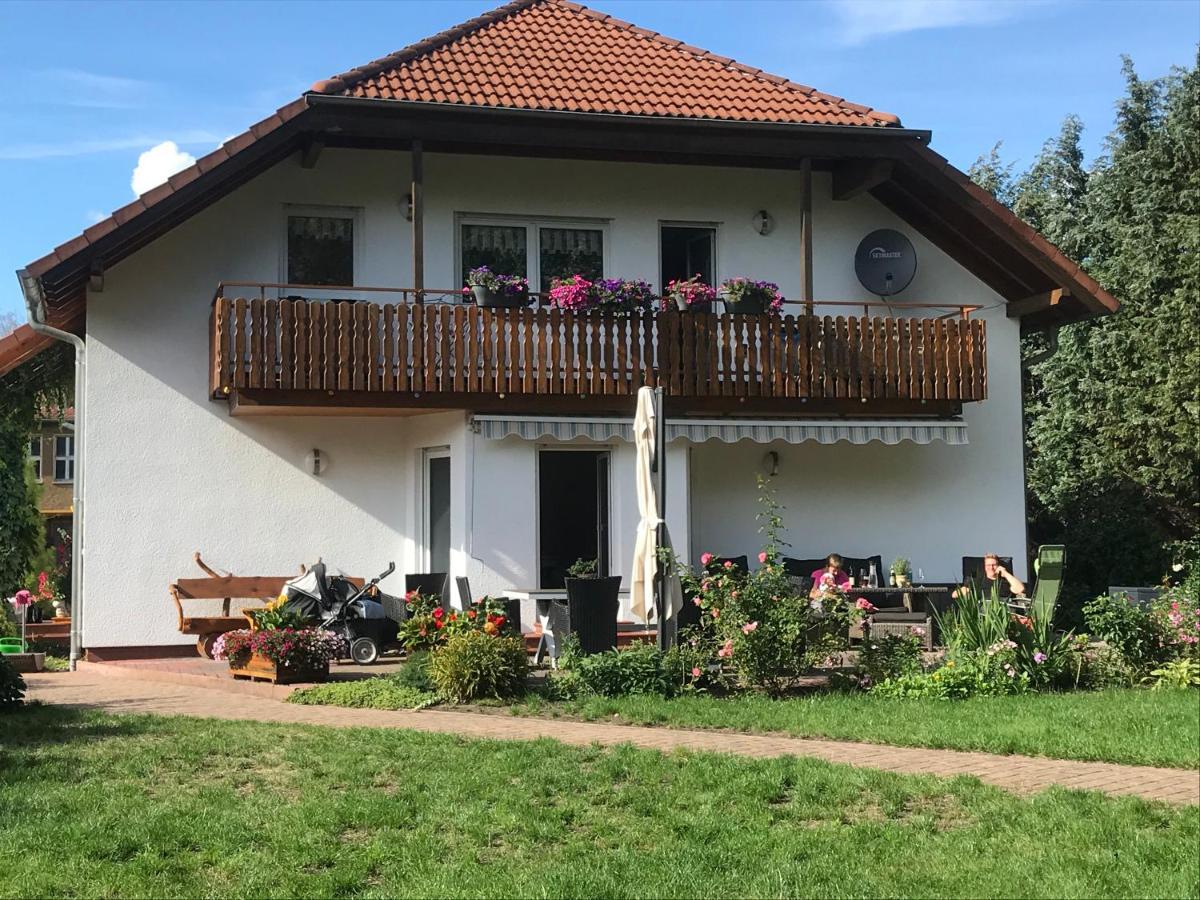 Grosszuegige Ferienwohnung Am Waldesrand Im Seenland Lauta エクステリア 写真