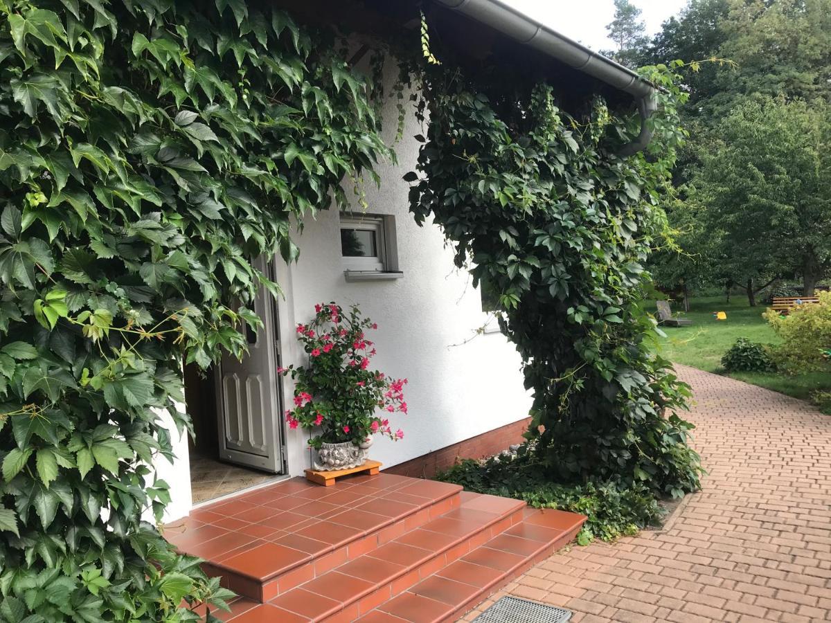 Grosszuegige Ferienwohnung Am Waldesrand Im Seenland Lauta エクステリア 写真