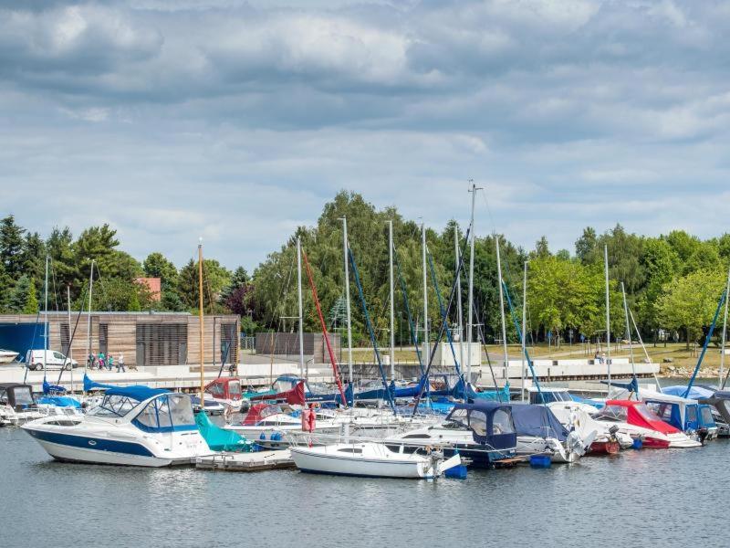 Grosszuegige Ferienwohnung Am Waldesrand Im Seenland Lauta エクステリア 写真