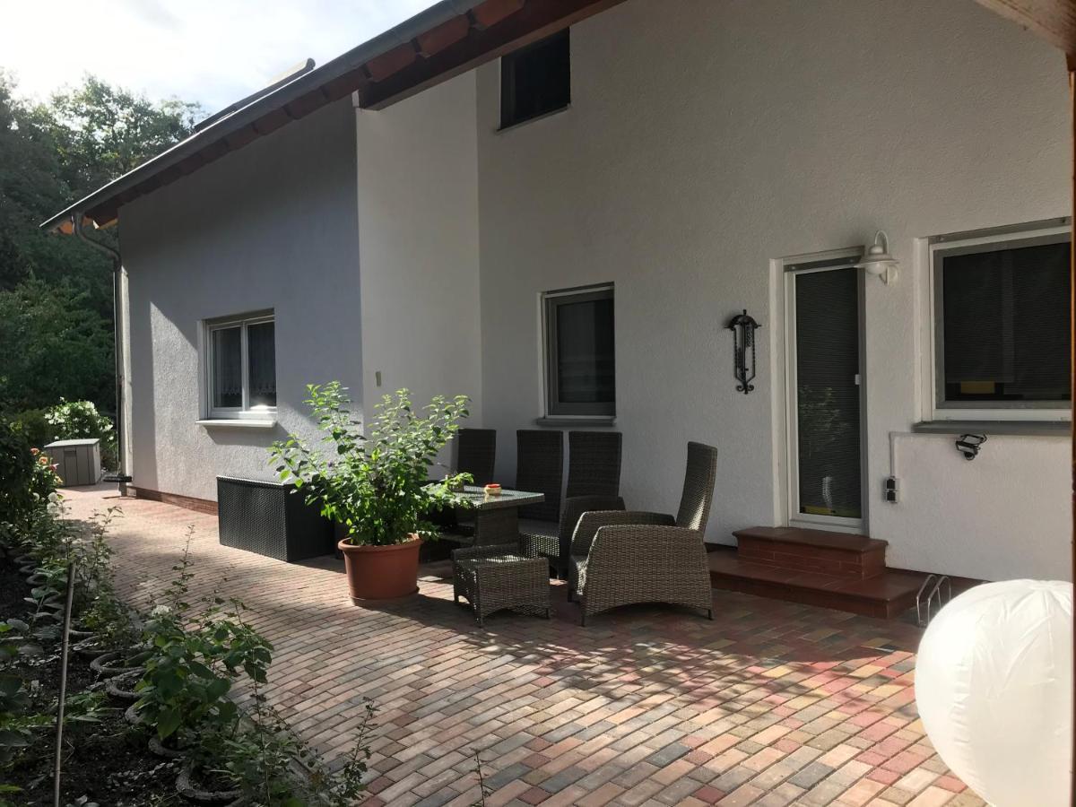 Grosszuegige Ferienwohnung Am Waldesrand Im Seenland Lauta エクステリア 写真