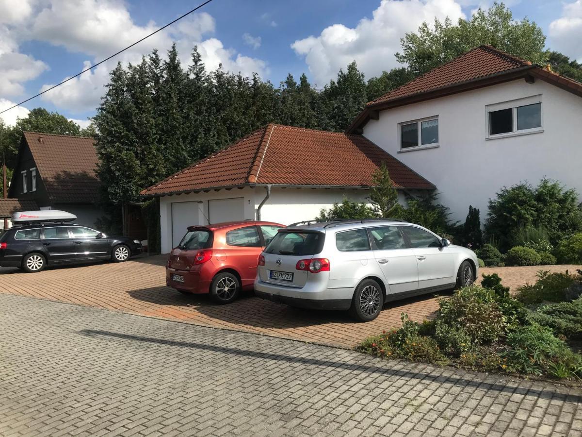 Grosszuegige Ferienwohnung Am Waldesrand Im Seenland Lauta エクステリア 写真