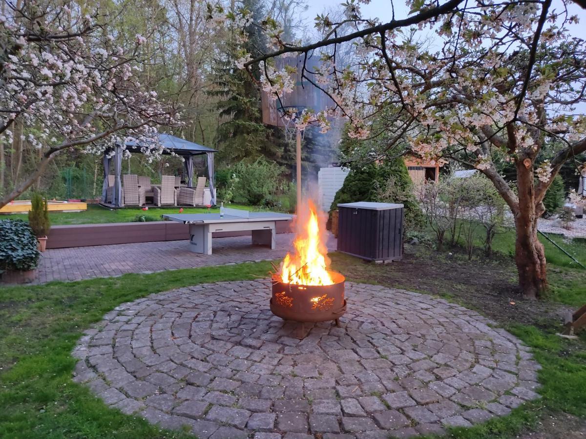 Grosszuegige Ferienwohnung Am Waldesrand Im Seenland Lauta エクステリア 写真