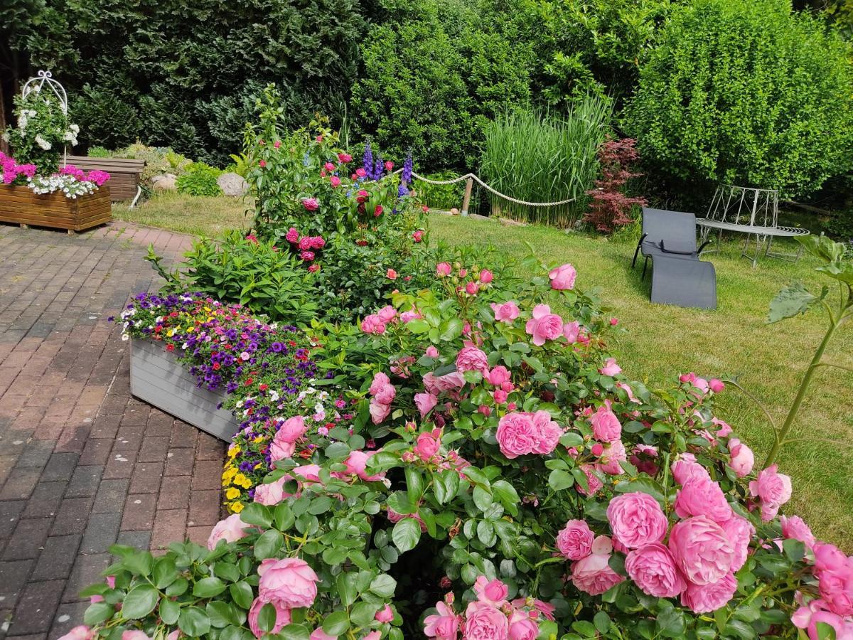 Grosszuegige Ferienwohnung Am Waldesrand Im Seenland Lauta エクステリア 写真