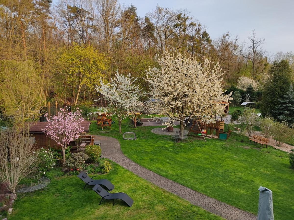 Grosszuegige Ferienwohnung Am Waldesrand Im Seenland Lauta エクステリア 写真