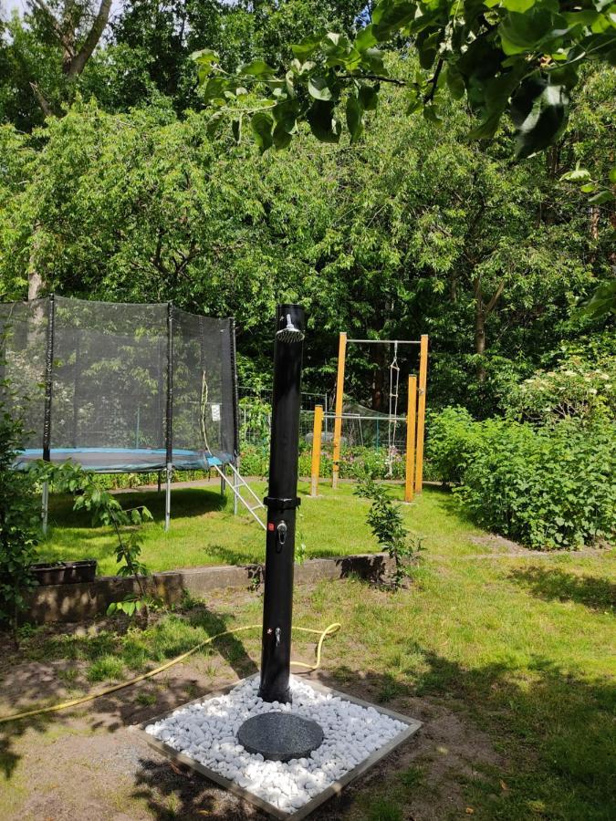 Grosszuegige Ferienwohnung Am Waldesrand Im Seenland Lauta エクステリア 写真